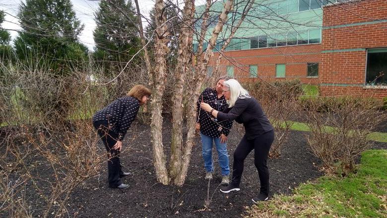 three women looking at eggs on tree trunk